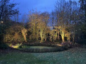 Buitenverlichting vijver